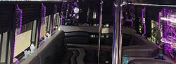 mid-size party bus